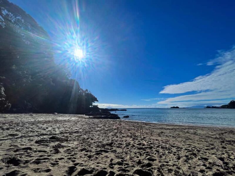 Waiheke Island: Guided Luxury Wine Tour with Tastings - An Introduction to Waihekes Luxury Wine Tour