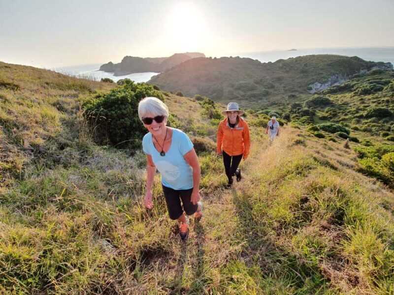 Waiheke Island: Gulf Marine Park Sailing Adventure & Lunch - An In-Depth Look at the Gulf Marine Park Sailing Adventure