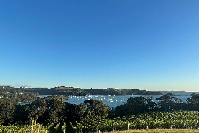 Waiheke Island Half Day Scenic Wine and Lunch - Transportation and Group Size