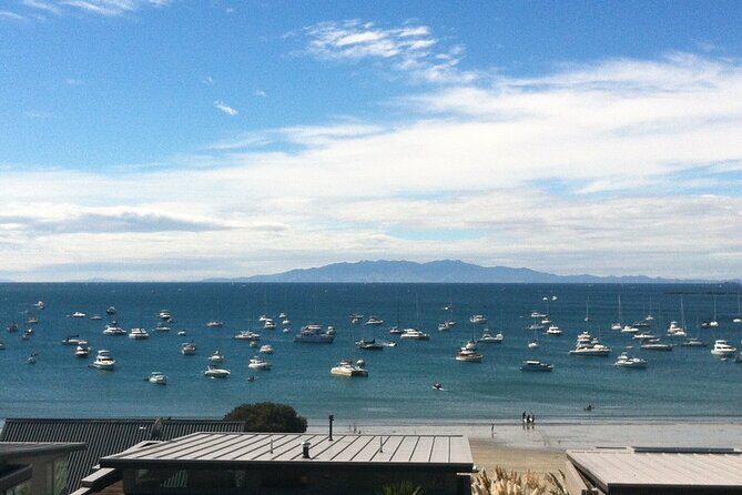 Waiheke Island Half Day Scenic Wine and Lunch - Timing and Flexibility