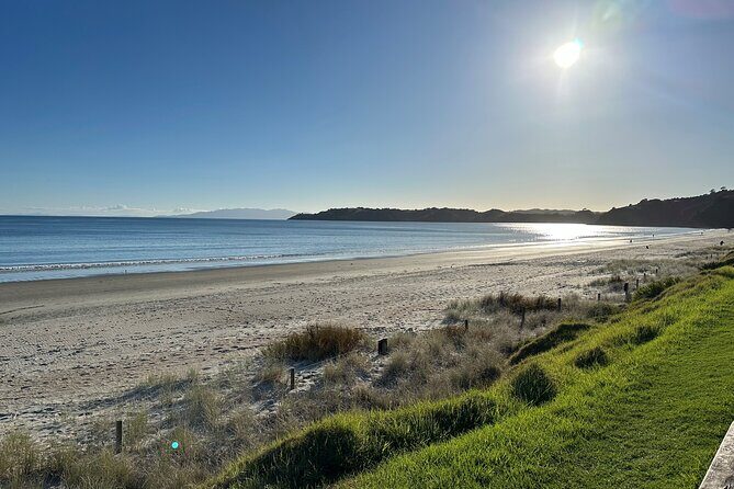 Waiheke Island Half Day Scenic Wine and Lunch - Pricing and Value