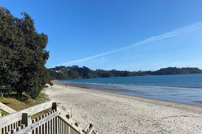 Waiheke Island Half Day Scenic Wine and Lunch - Who Would Love This Tour?