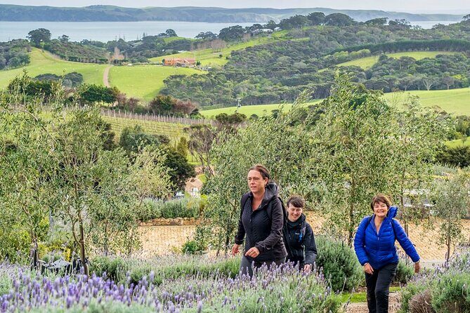 Waiheke Island History and Heritage Tour - Authentic Experiences That Matter