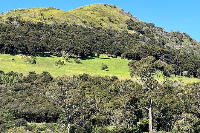 Waiheke Island History and Heritage Tour - Who Should Take This Tour?