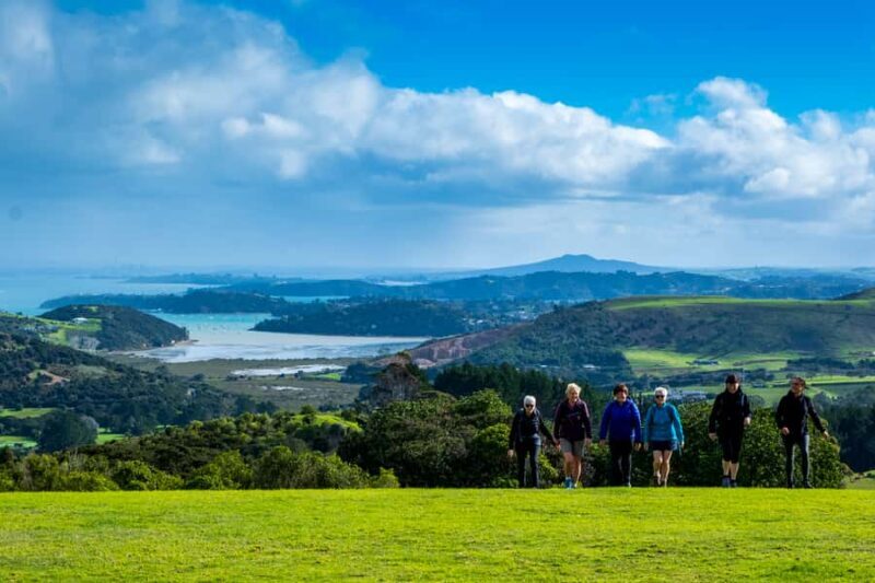 Waiheke Island: Premium Vineyard, Wine Tasting and Bush Walk - Authentic Reviews and Insights