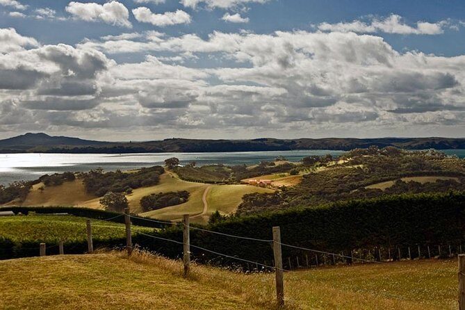 Waiheke Island Private Art Tour - Frequently Asked Questions