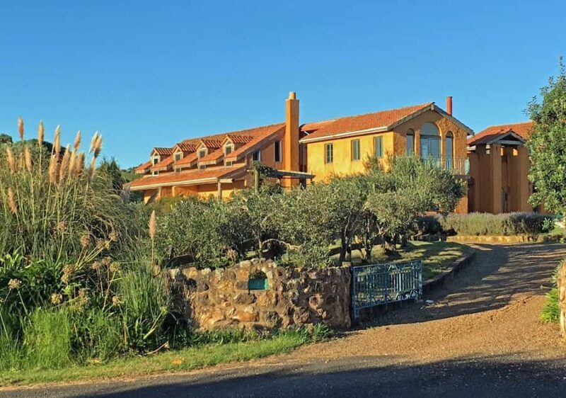 Waiheke Island: Private Art Tour with Lunch - Key Points