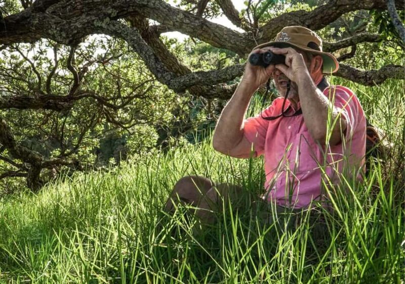Waiheke Island: Private Birding Tour | Terra & Tide - The Sum Up: Is This Tour Right for You?