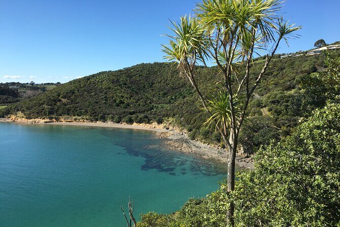 Waiheke Island Private Double Headland Walk - Frequently Asked Questions
