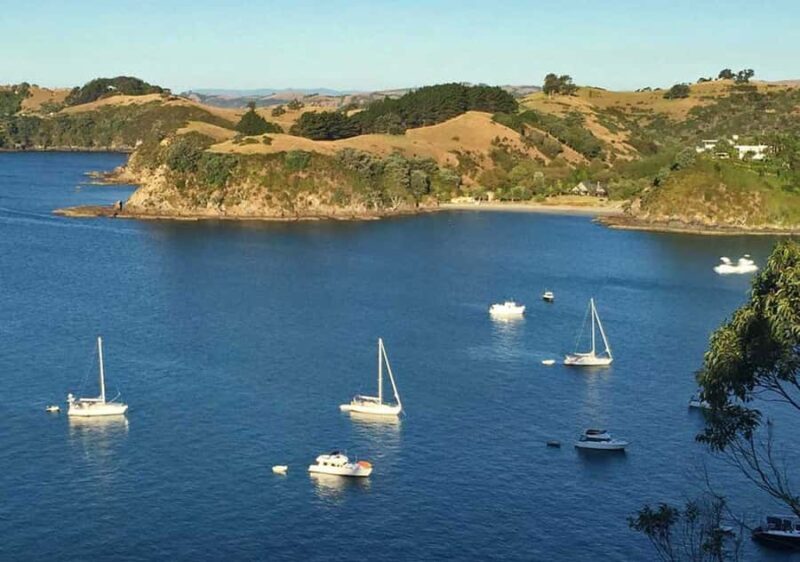 Waiheke Island: Private Guided Te Ara Hura 5-Day Walk - The Value Proposition