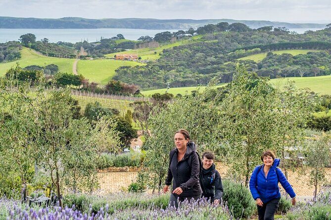 Waiheke Island Private History and Heritage Tour - Is This Tour Right for You?