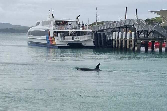 Waiheke Island Private Tours - Authentic Voices and Reviews