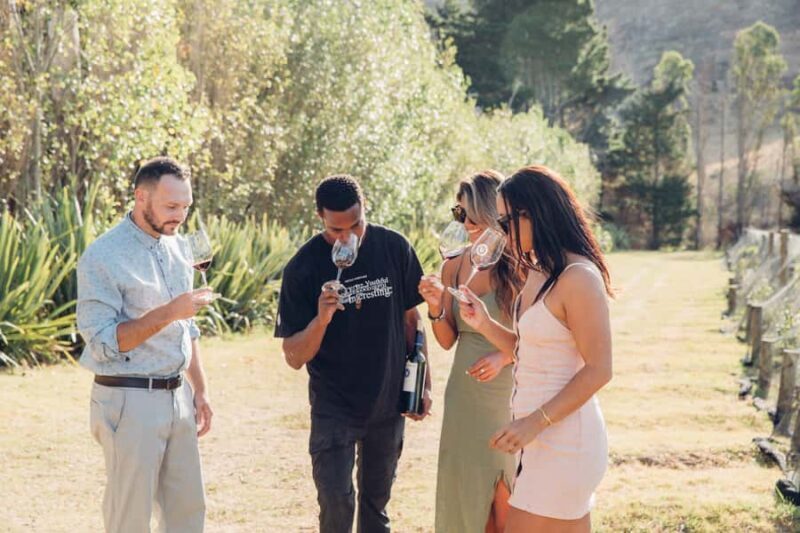Waiheke Island: Scenic Island Wine Tour & Local Wine Tasting - Authenticity & Authentic Experiences