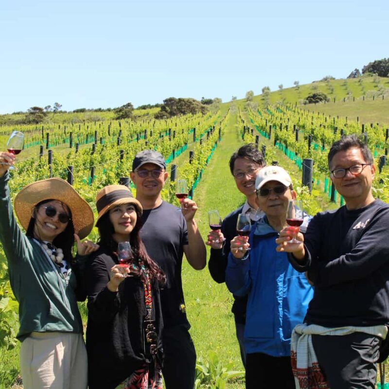 Waiheke Island Scenic Wine Tour - What You Can Expect from the Experience