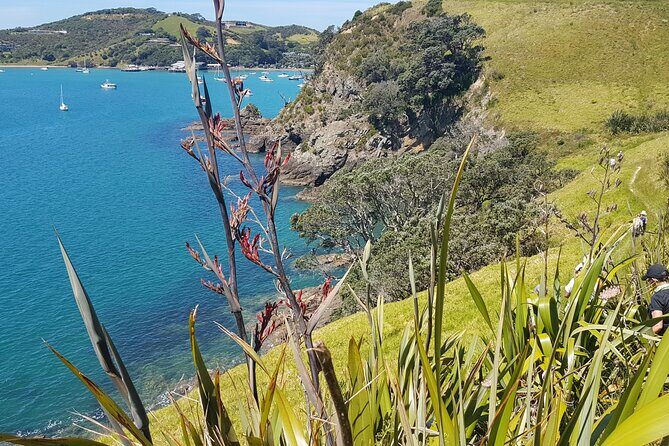 Waiheke Island Self Guided 4 Day Walking Adventure - The Allure of Waiheke Island