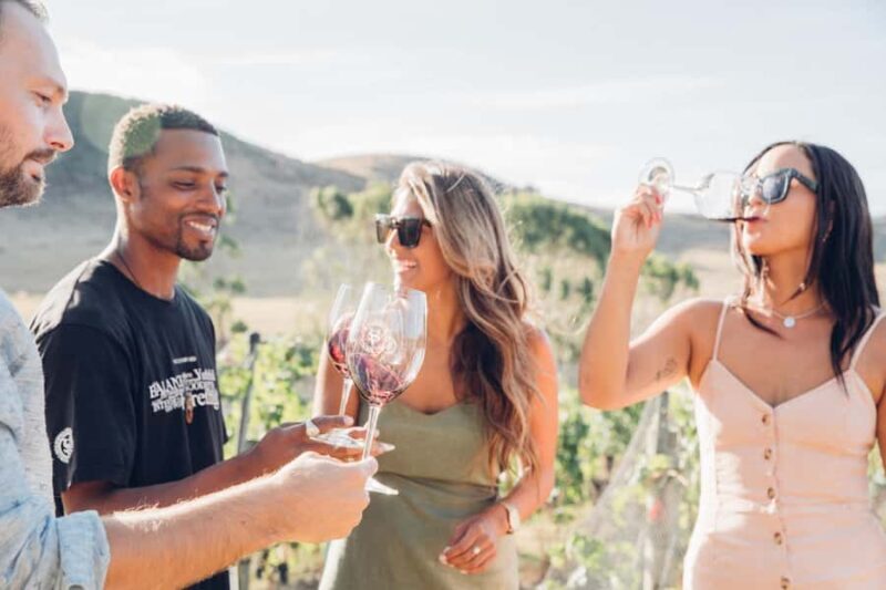 Waiheke Island: Wine Tour & Lunch at Award Winning Venue - The Experience in Detail