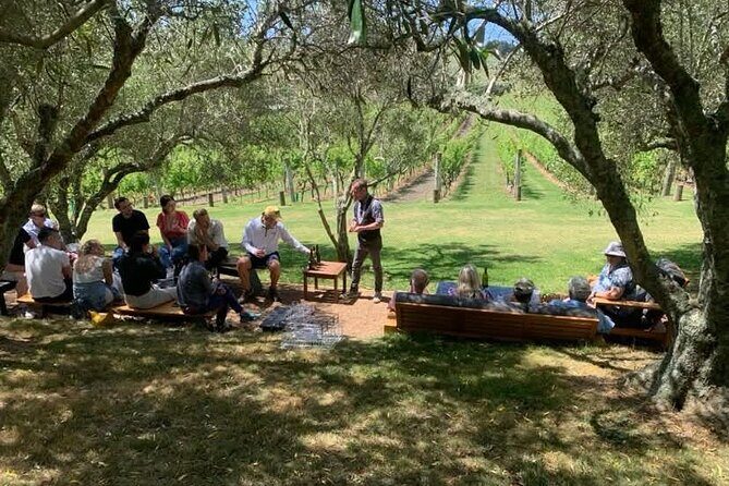 Waiheke Island Wine Tour with Tastings & Gourmet Beachfront Lunch - Final Words