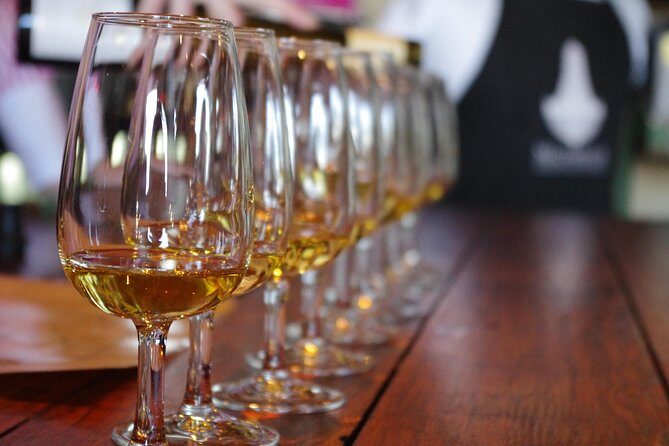 Waiheke island Wine Tours - PREMIUM wine tasting MAX 11 clients ! - Authentic Experiences & What You’ll Remember