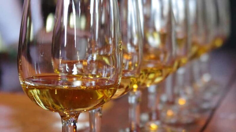 Waiheke Island Wine Tours - PREMIUM Wines - Max 11 clients ! - An In-Depth Look at Waiheke Island Wine Tours