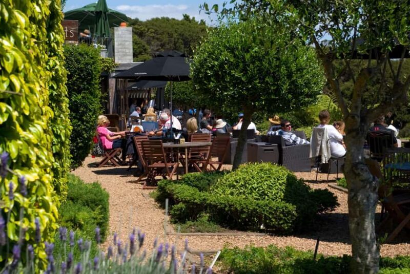 Waiheke Island Wine Tours - PREMIUM Wines - Max 11 clients ! - Why Travelers Rave About It