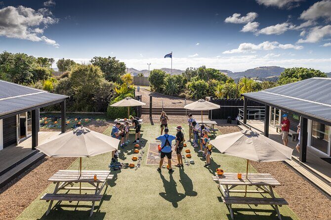 Waiheke Island: Zipline And Forest Walk - An In-Depth Look at the Waiheke Zipline and Forest Walk