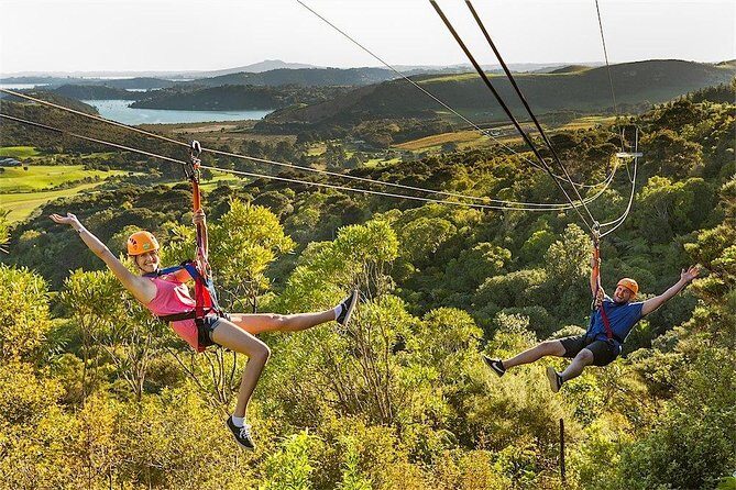 Waiheke Island: Zipline And Forest Walk - Who Will Love This Tour?