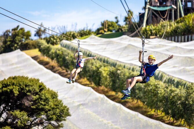 Waiheke Island: Zipline And Forest Walk - FAQs