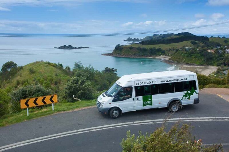 Waiheke Island: Zipline and Native Forest Adventure Trip - Key Points