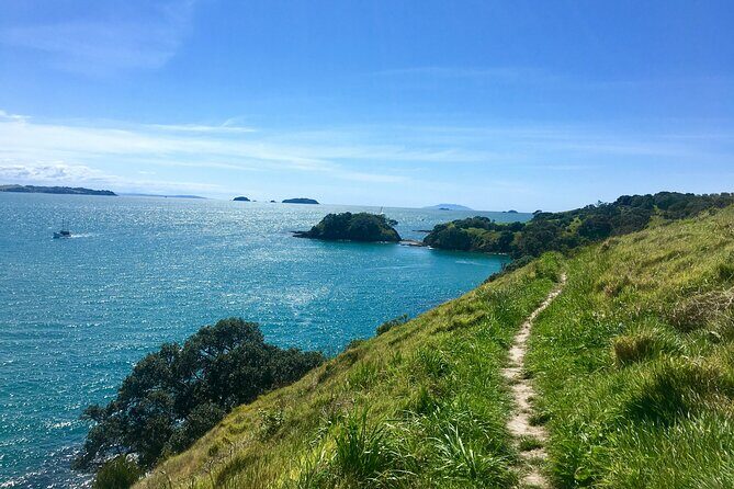 Waiheke Luxury 9 Hour Tour Tailored to You - Who Might Consider Alternatives?