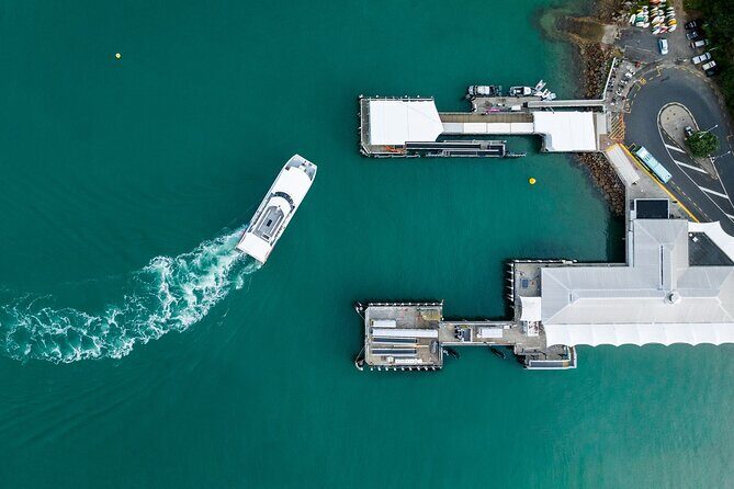 Waiheke Reserve Ferry Service from Waiheke Island - Traveler Insights and Authentic Perspectives
