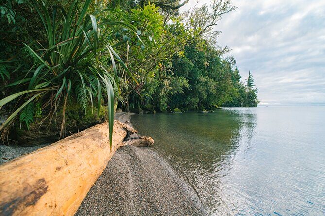 Waihora Bay Shared Tour from Kinloch Marina - A Visit to Boat Harbour and Kaitiake