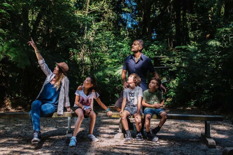 Waikato: Ancient Forest Guided Tour - Key Points