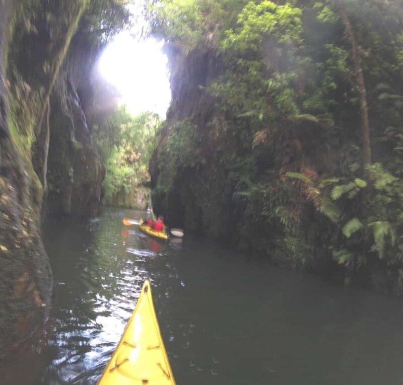 Waikato River: Glowworm Kayak Tour with Wine & Snacks - A Closer Look at the Experience