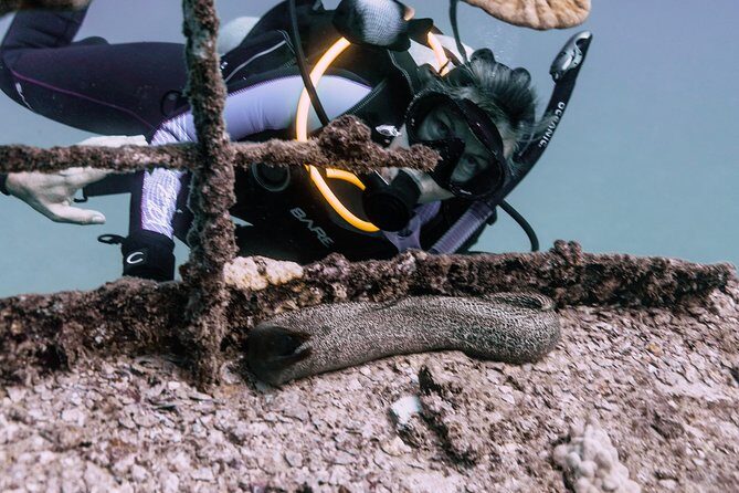 Waikiki 2 Tank World Class Wreck SCUBA Diving - Certified Only - Who Should Consider This Tour?