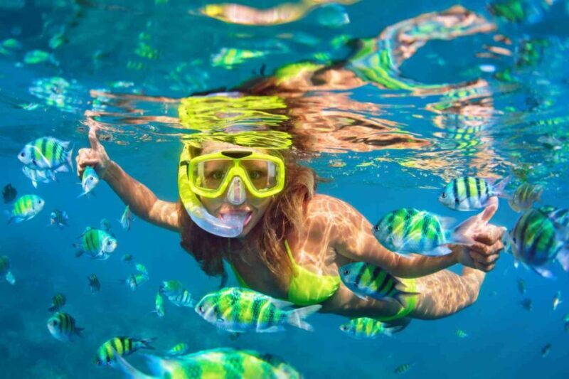 Waikiki: 5-in-1 Turtle Snorkeling Trip with Transfer - FAQ