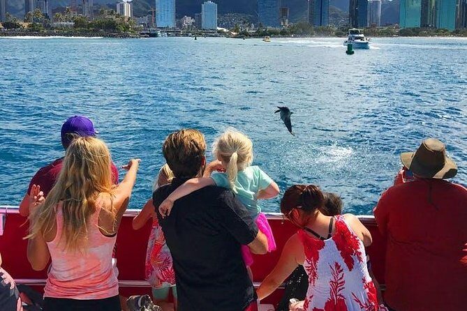 Waikiki Beach Glass Bottom Boat Cruise - Introduction: What This Tour Is and Who It’s For