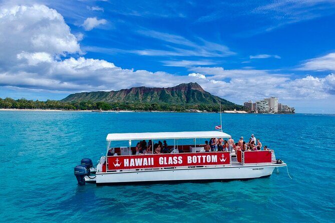 Waikiki Beach Glass Bottom Boat Cruise - The Sum Up: Who Should Consider This Tour?