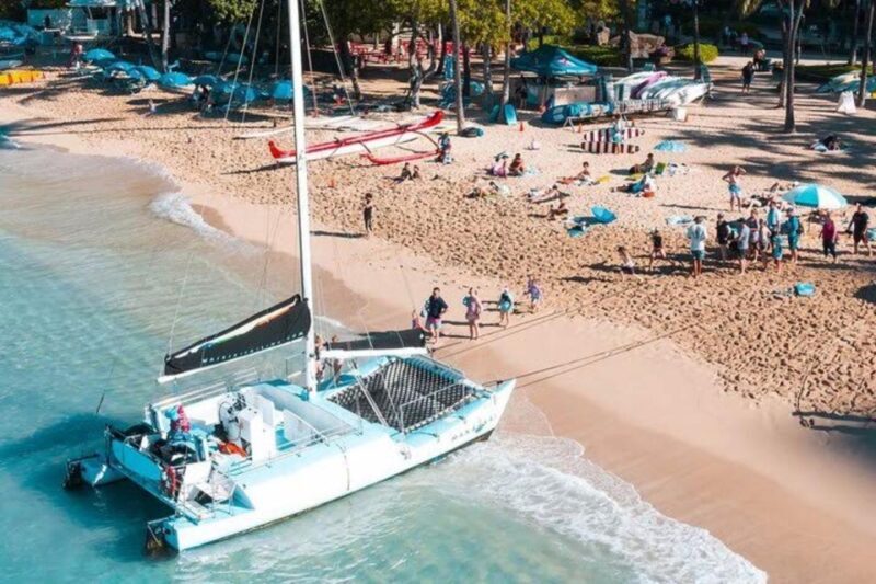 Waikiki Beach: Turtle Snorkeling and Sailing on Hwea - Authentic Experiences & Insider Tips