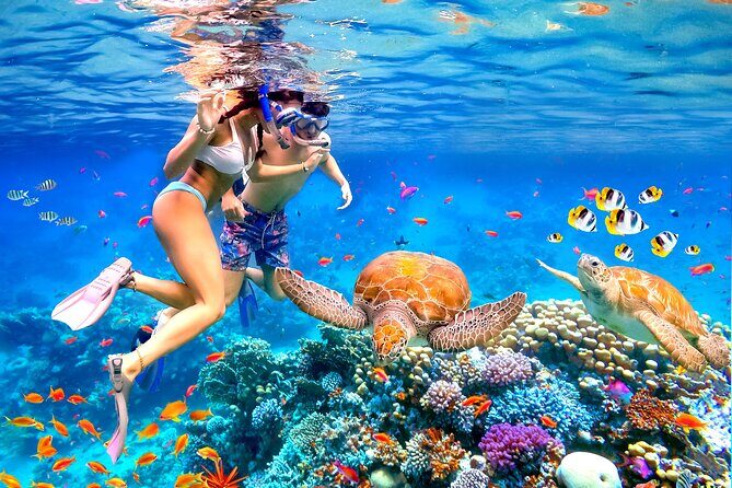Waikiki Catamaran Escape: Snorkel with Turtles & Water Sports Fun - Key Points