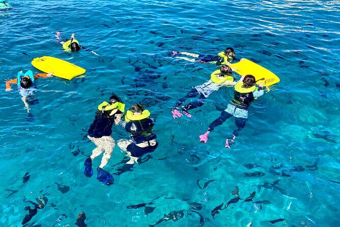 Waikiki Catamaran Escape: Snorkel with Turtles & Water Sports Fun - Summary: Who’s This Tour For?