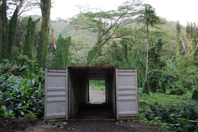 Waikiki Electric Bike Self Guided Tour- Manoa Falls Bike and Hike - Who Should Consider This Tour?