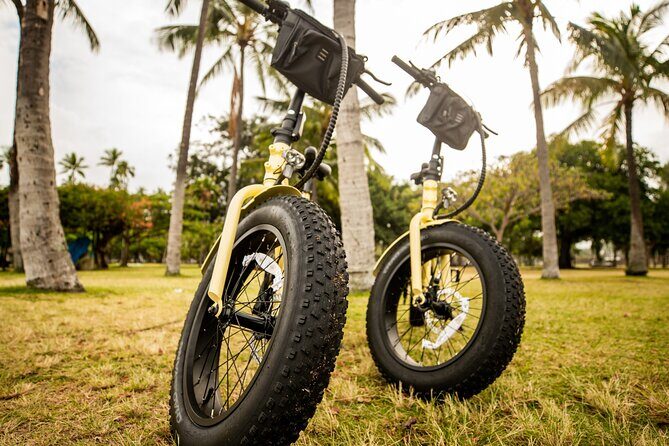 Waikiki Electric Bike Tour Self Guided: Diamond Head Bike & Hike - Who Will Love This?
