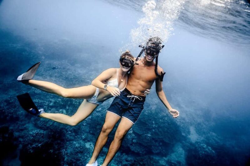 Waikiki Exclusive Snorkel + Lunch - An Honest Look at Waikiki Snorkel + Lunch