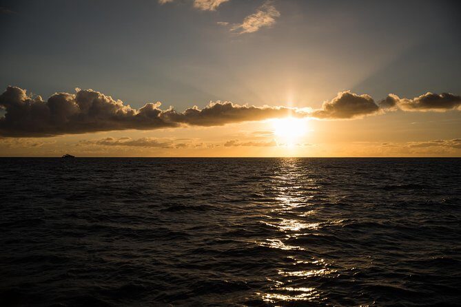 Waikiki Fireworks Dinner Cruise: Sail & Sparkle on Friday Nights - Who Should Consider This Experience?