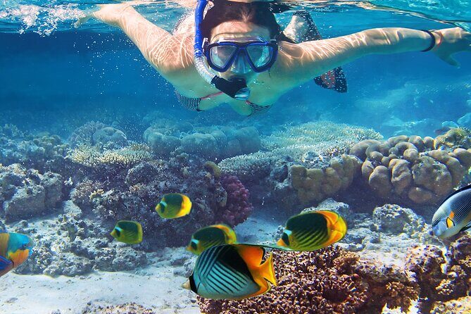 Waikiki Sail and Snorkel Adventure Best of Hawaii 2023 - Practical Tips for Travelers