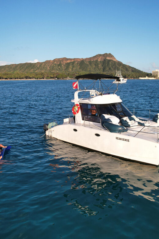 Waikiki: Sea Turtle Snorkeling, Small Group Boat Tour - Pricing and Value