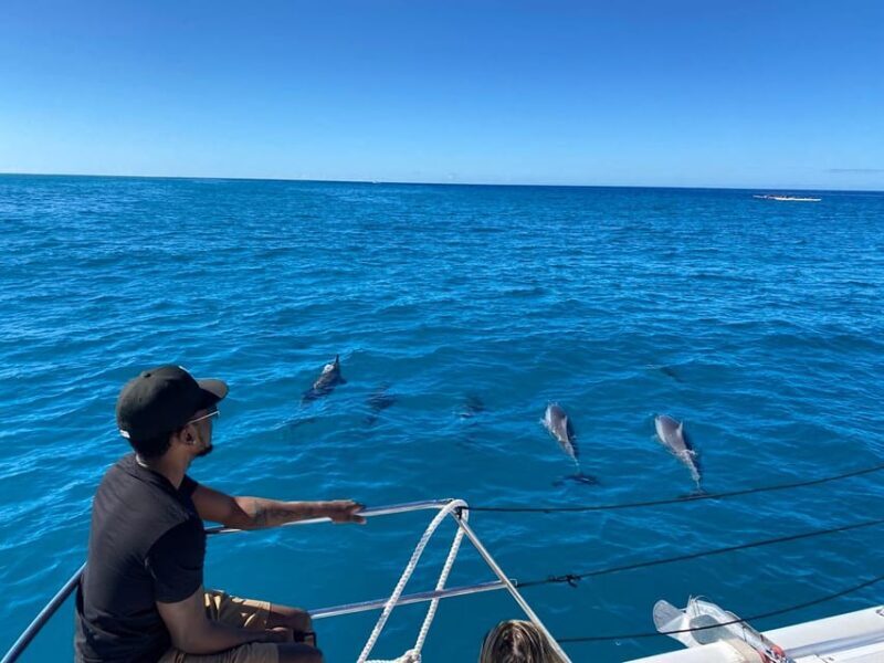 Waikiki: Sea Turtle Snorkeling, Small Group Boat Tour - Who Should Consider This Tour?