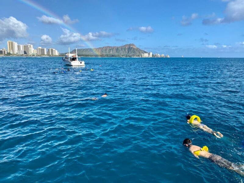 Waikiki: Sea Turtle Snorkeling, Small Group Boat Tour - FAQ