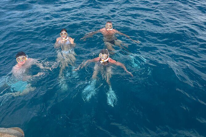 Waikiki small group turtle snorkeling & sailing - Snorkeling: What to Expect