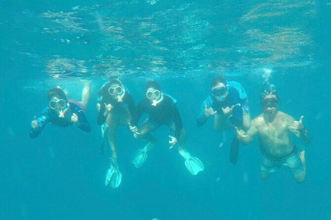 Waikiki small group turtle snorkeling & sailing - Sailing to Diamond Head & Dolphin Viewing